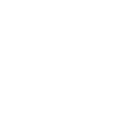 security icon